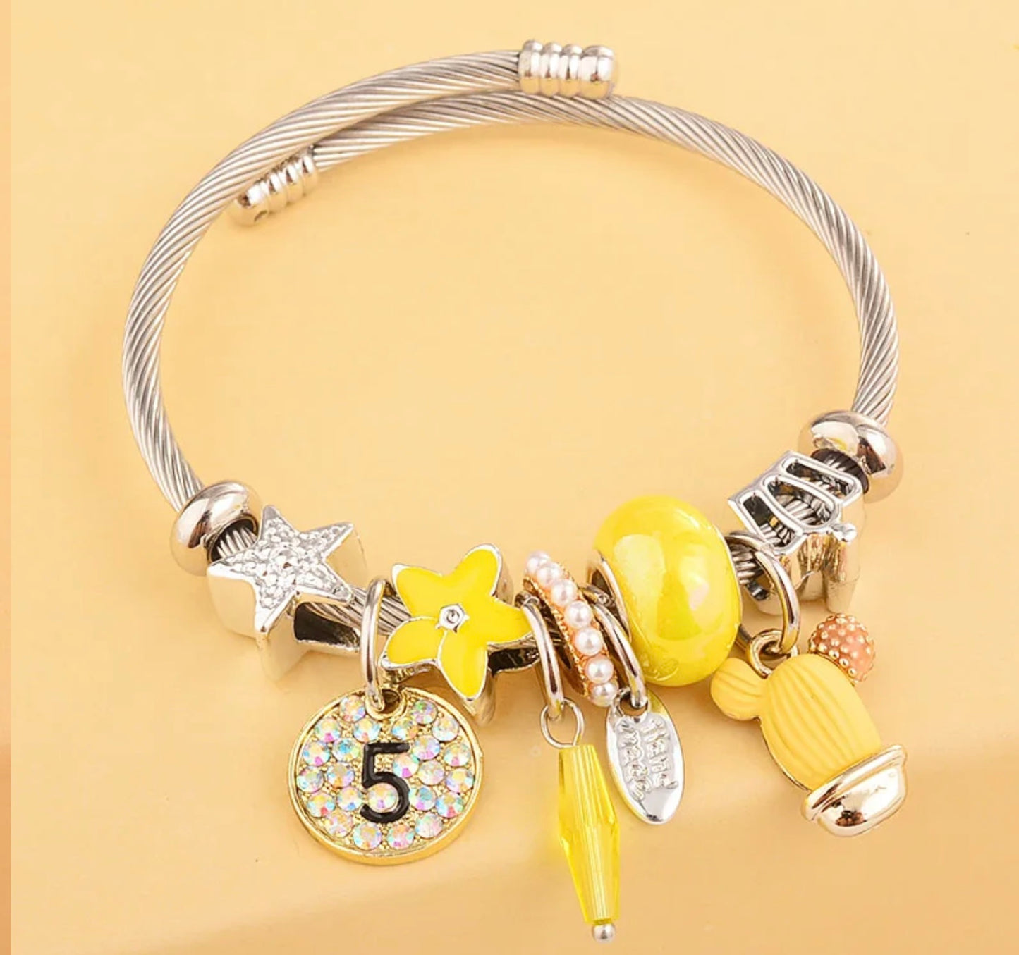 Charm Bracelets